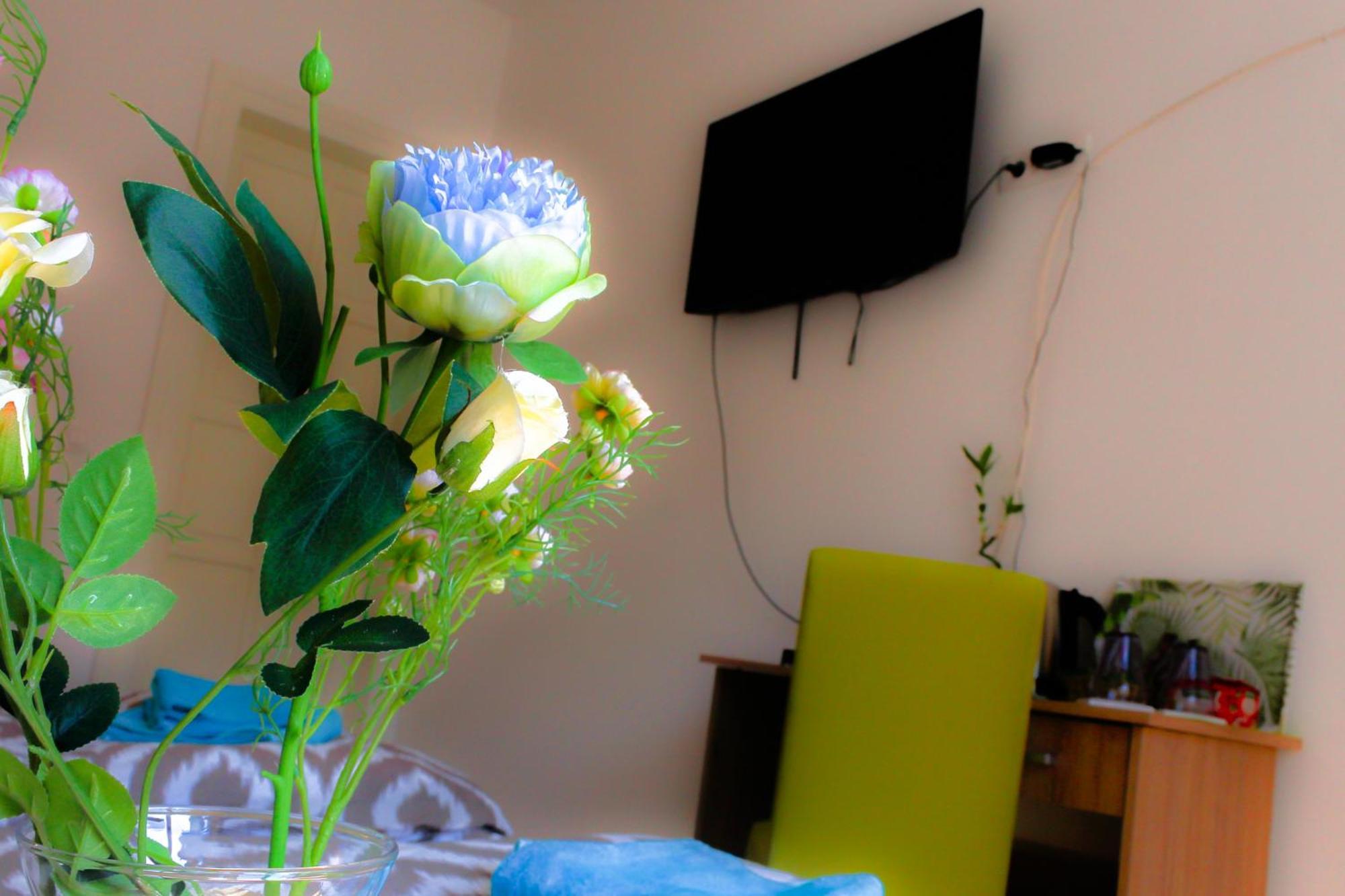 Fluminis Rooms リエカ エクステリア 写真